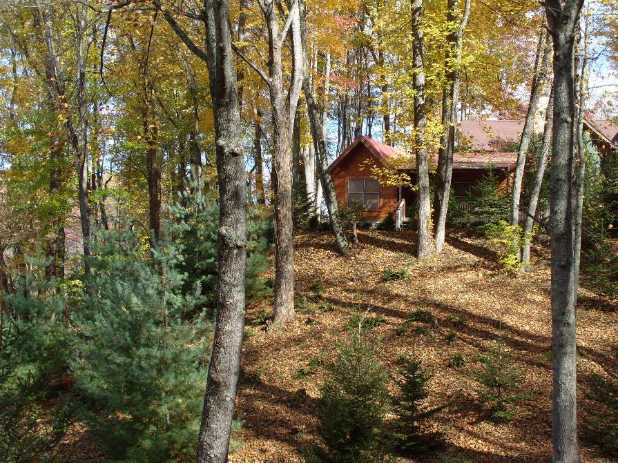 Home Log Cabin Rentals in Waynesville cabin3new Moose Crossing Cabins